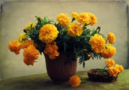 marigold-bouquet